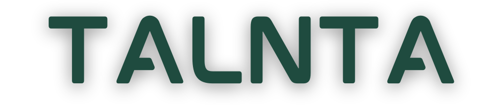 Talnta Technology Pvt Ltd